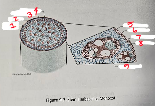 <p>9</p>