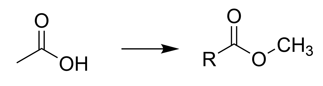 <p></p>