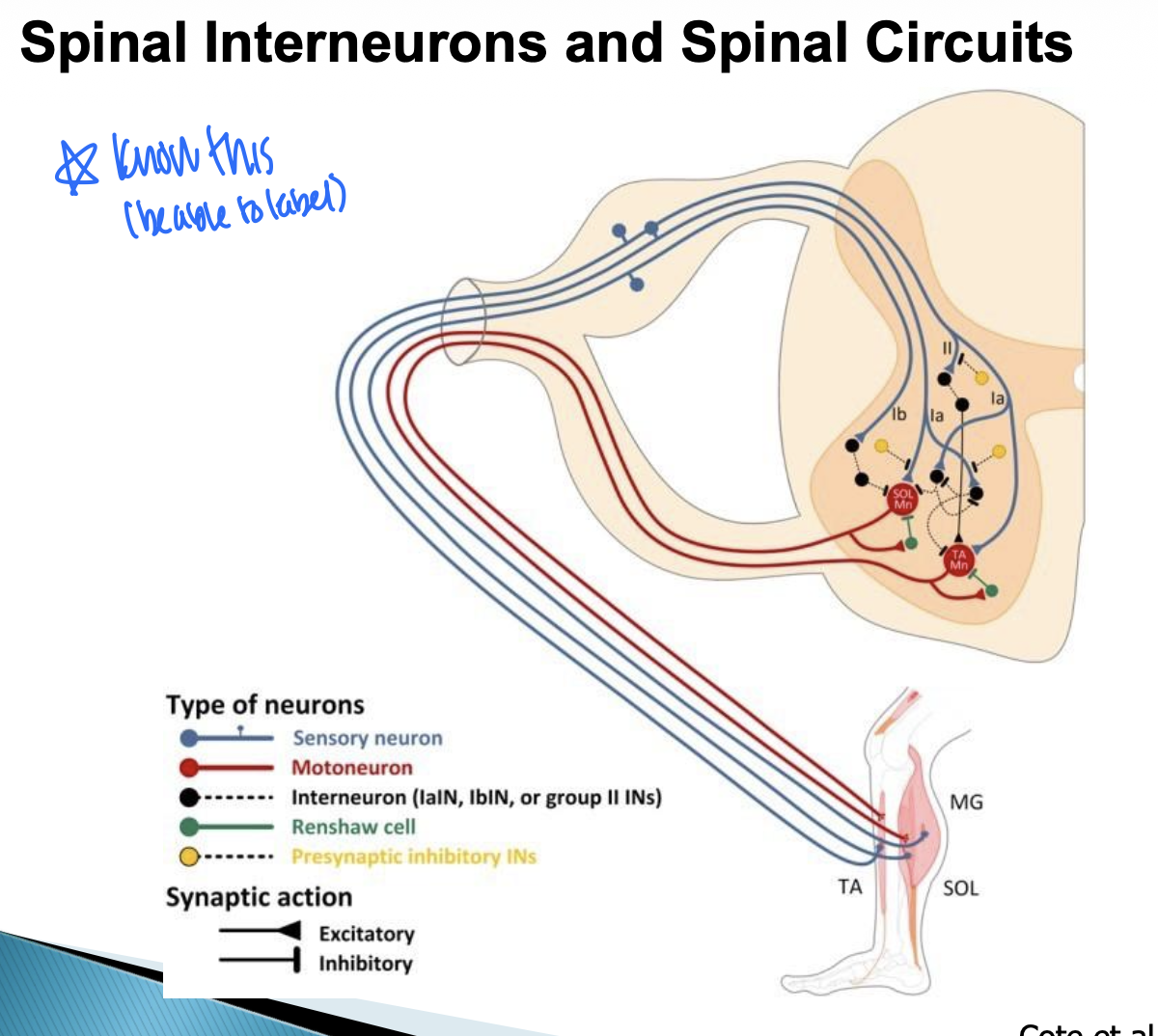 <p>What is happening in this image </p>