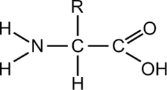 <p>carboxyl group</p>