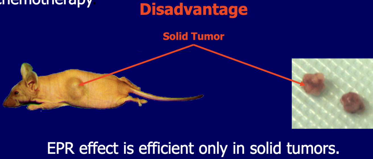 <ul><li><p>EPR effect is efficient only in solid tumors </p></li></ul><p></p>