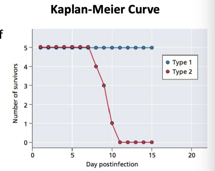 <p>Kaplan-Meier Curve </p>
