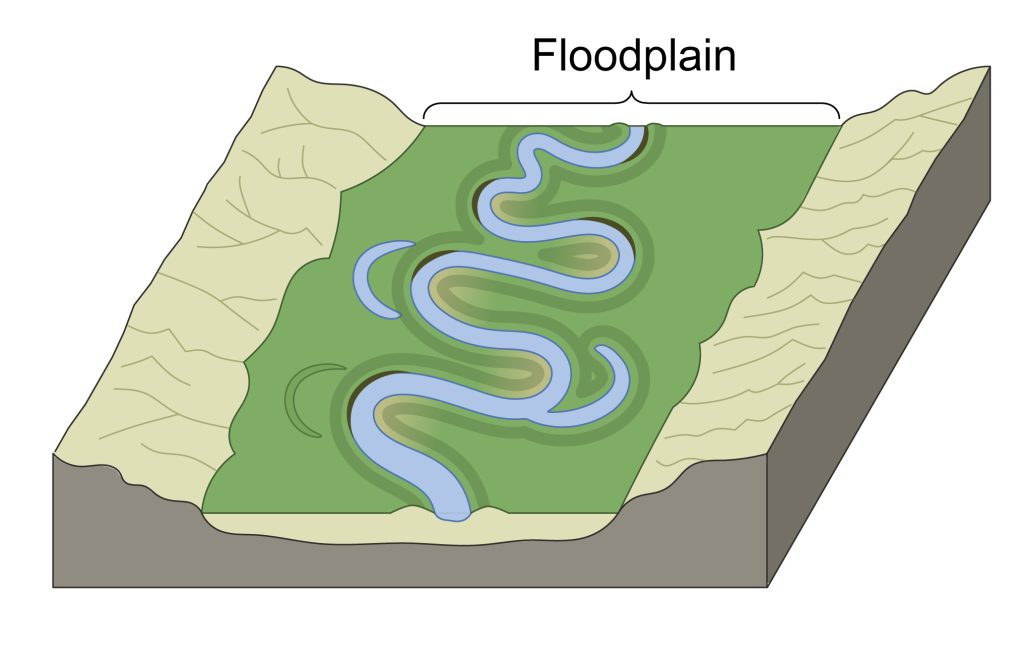 <p>Stage 2 of a floodplain formation?</p>