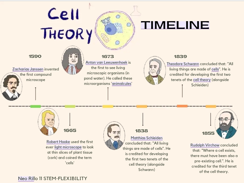 <p>Explain what you know about developments in cell study</p>