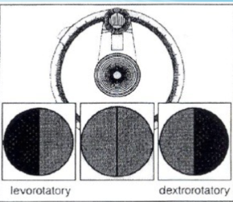<p>darker half circle is on the left</p><p></p>