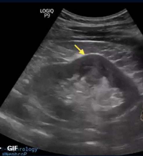 <p>What is this?</p>