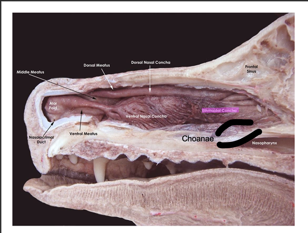 <p>answers are here</p>
