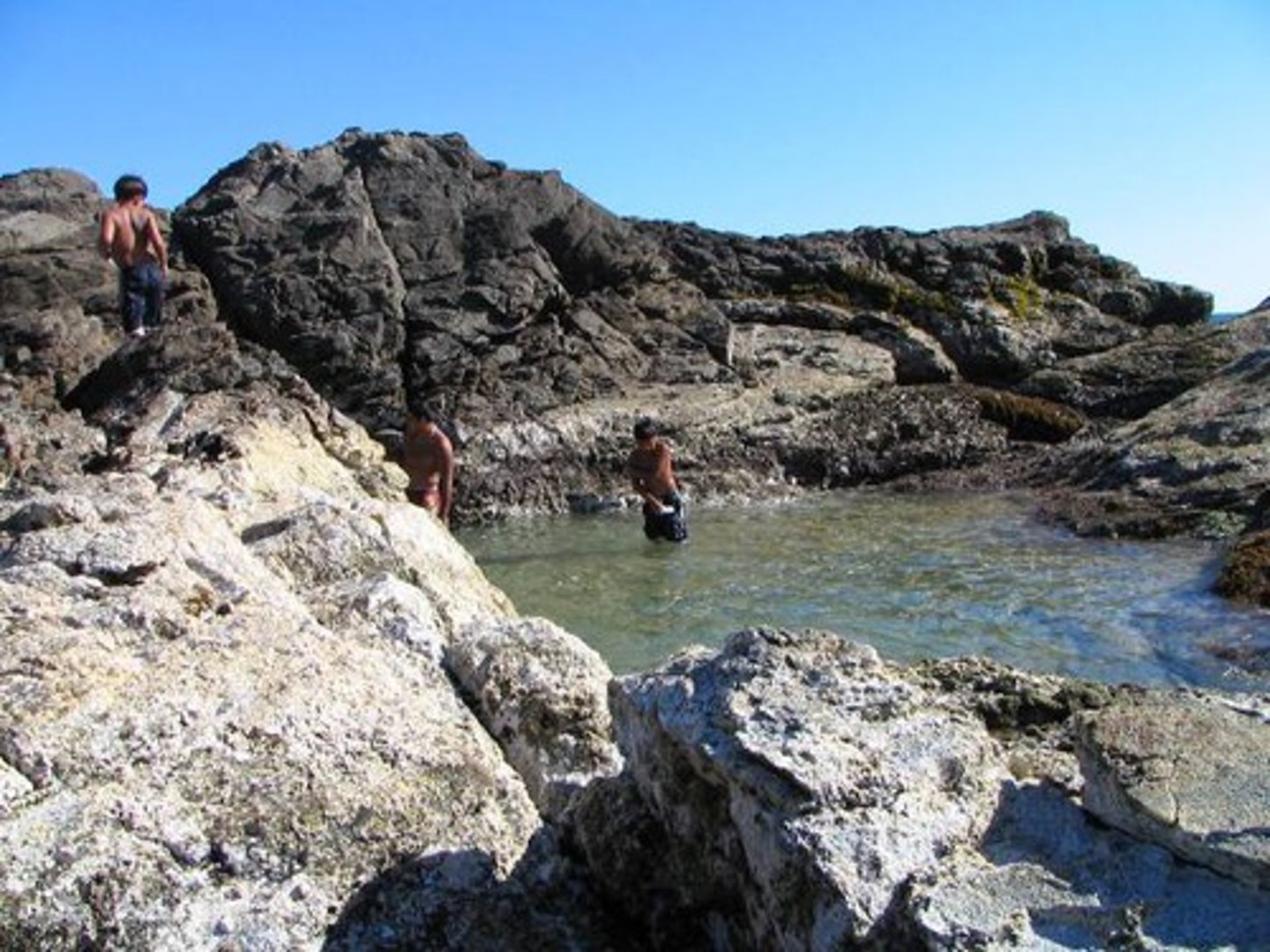 <p>Salt water, crashing waves, drying effects of wind, air, and sun.</p>