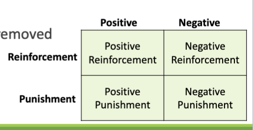<p>types of operant conditioning </p>