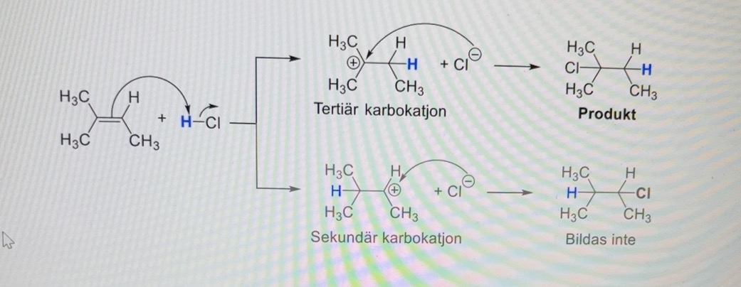 <p>Markovnikov applies here, where H goes to the least substituted carbon and X to the more substituted carbon.</p><p>so double bond breaks, H attached to one like and X to the other</p>