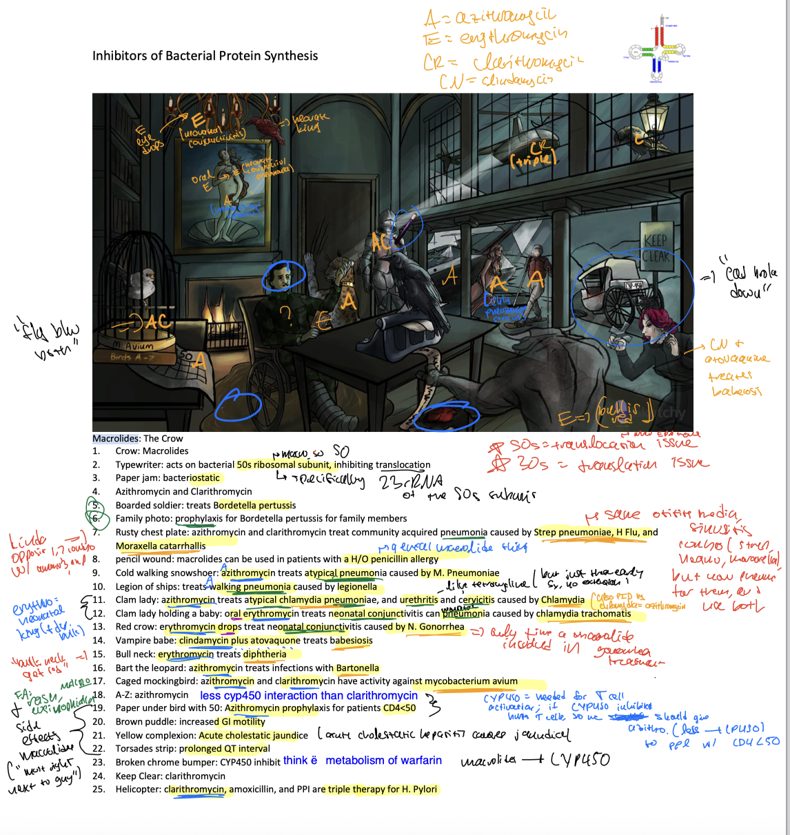 knowt flashcard image