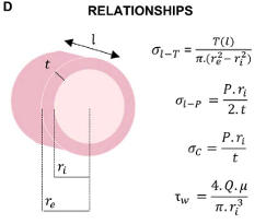 <p>Stresses relationships assuming incompressibility and uniform strain across the vascular wall</p>