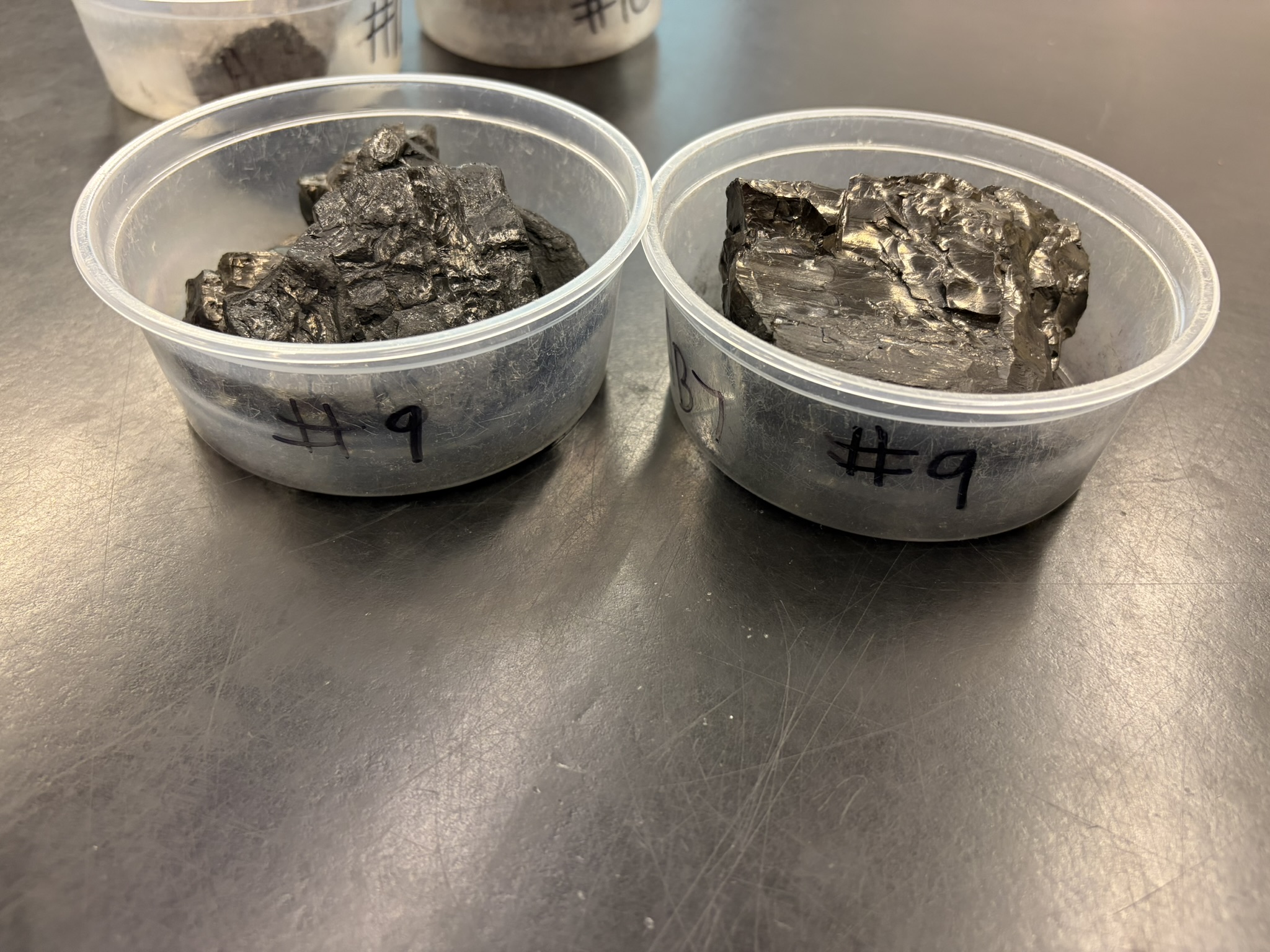 <p>Biochemical/ Organic<br>Clastic<br>Swamp Environments<br>Low Energy</p>