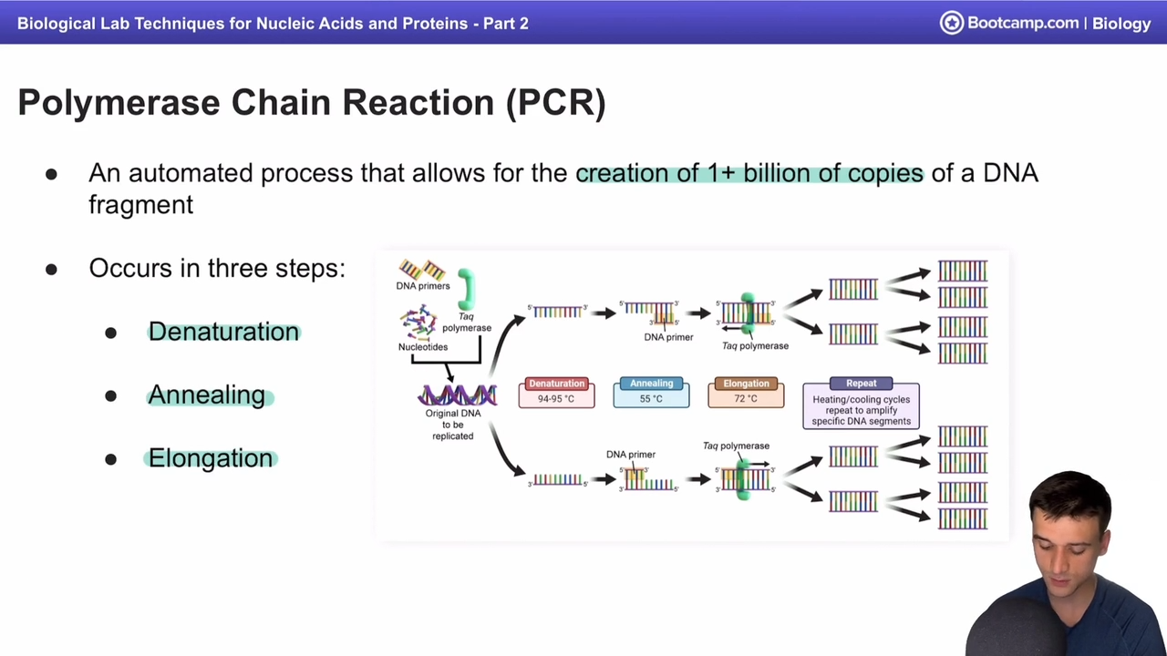 <p>a process that allows for the creation of 1 billion + copies of a DNA fragment </p><p></p><p>Occuring in denaturation, annealing, and elongation steps </p>