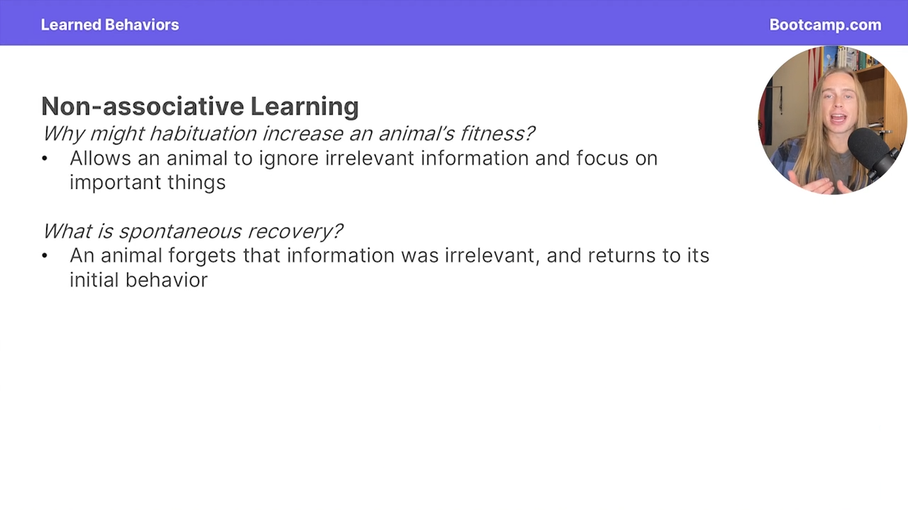 <p>it allows an animal to ignore irrelevant information and focus on important things </p>