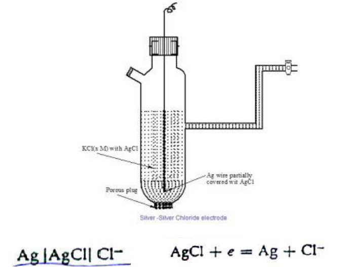 <p>Silver and silver chloride are in contact with each other and with chloride ions</p>