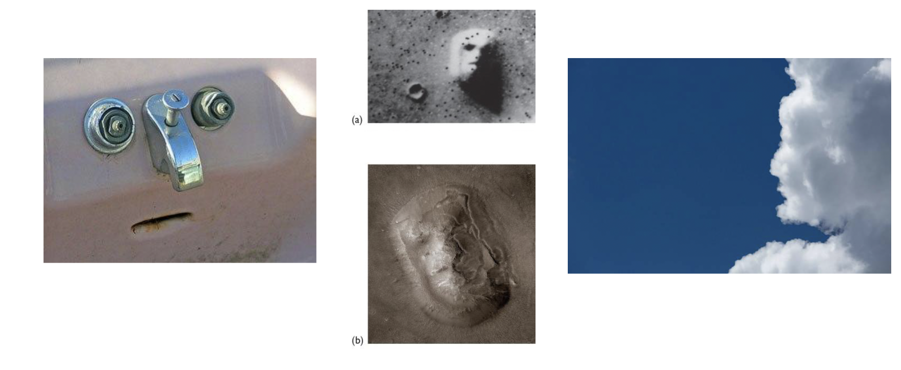 <p>have a clear unidirectional bias to detect faces in our environment, we see faces in clouds but never clouds in faces</p><ul><li><p>only 1 way biases</p></li></ul><p></p>