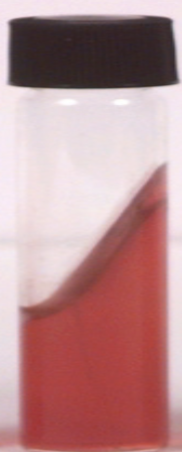 <p>A TSI test that is this color means that the bacteria _______ ferment (did or did not?)</p>