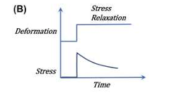 <p>stress relaxation - after a step increase in strain, stress decreases with time</p>