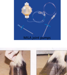 <p>Repeated injections required into synovial space = increased risk of iatrogenic infections</p>