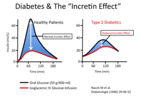 <ul><li><p><span>Where oral glucose intake produces a greater insulin response than the same amount of glucose given intravenously, even when blood glucose levels are similar, due to gut hormones.</span></p></li><li><p><span>Incretin hormone peptides released from the GI tract after food has been ingested.</span></p></li><li><p><span>These peptides stimulate additional insulin release beyond pancreatic beta cells</span></p></li><li><p><span>In type 2 diabetes this ‘incretin effect’ is reduced</span></p></li></ul><p></p>