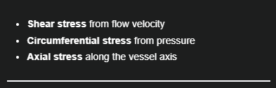 <p>Shear stress, Circumferential stress, Axial stress</p>
