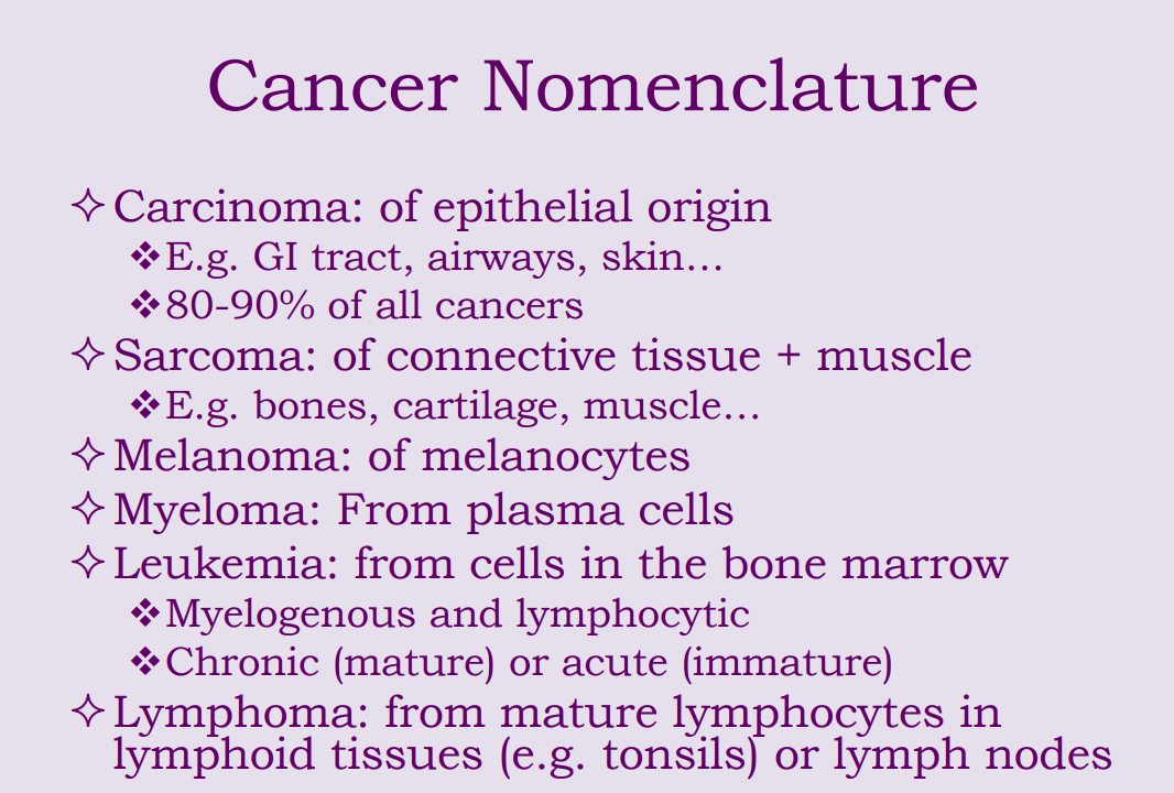 <p>Chronic affects precurorers that are more differntiated and are therefore slower </p><p></p><p>Acute leukemias affect early progenitor cells </p>