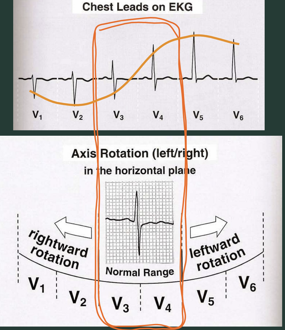 <p>What does horizontal axis measure? </p>