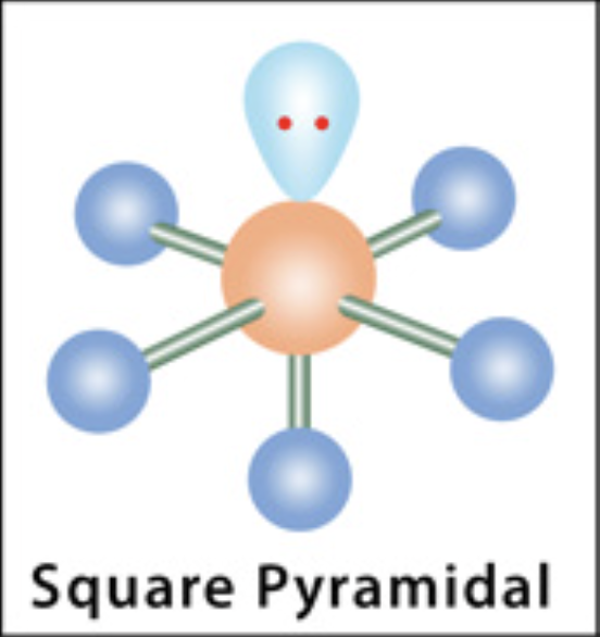 <p>Square Pyramidal</p>