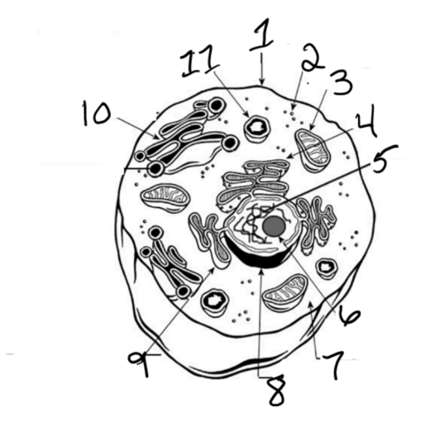 <p>What is #2</p>