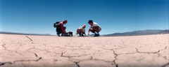 <p>dry parched land</p><p>soil parched by drought</p><p>She licked her parched lips.</p>