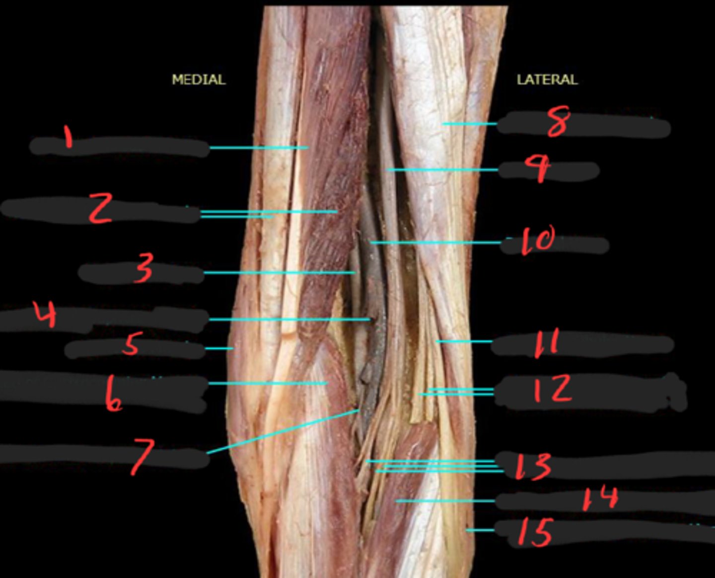 <p>14</p>