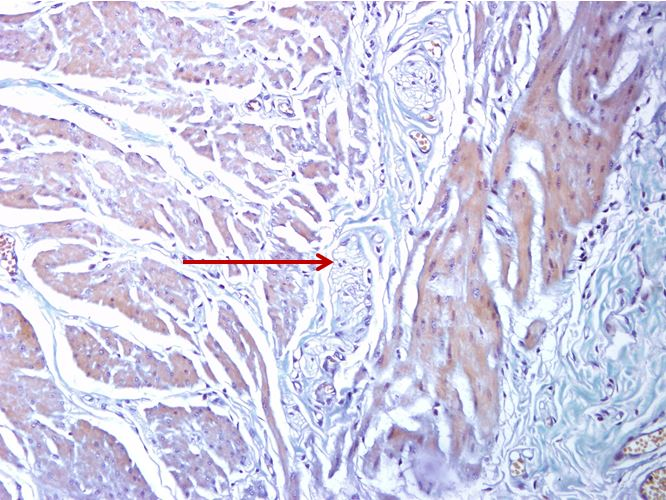 <p>Cấu trúc gì ?</p>