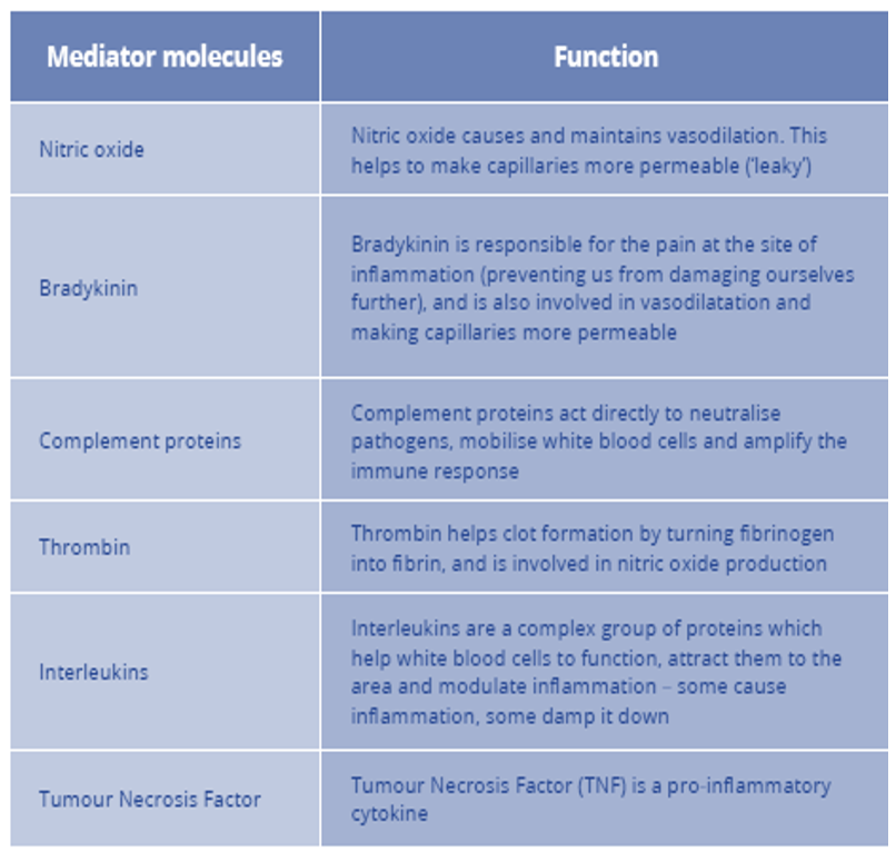<ul><li><p><strong>Vasodilation</strong> and <strong>capillary leak</strong> – physiological response to infection</p></li><li><p><span>Lots of <strong>mediator molecules</strong> involved in the inflammation process</span></p></li></ul><p><span>→ Balance of this inflammatory response goes “bad” in sepsis!</span></p><ul><li><p><span>End result: </span></p></li></ul><ol><li><p><span>Hypovolaemia</span></p></li><li><p><span>Hypoperfusion at tissue/cellular level</span></p></li><li><p><span>Cell death</span></p></li><li><p><span>Organ dysfunction</span></p></li></ol><p></p>