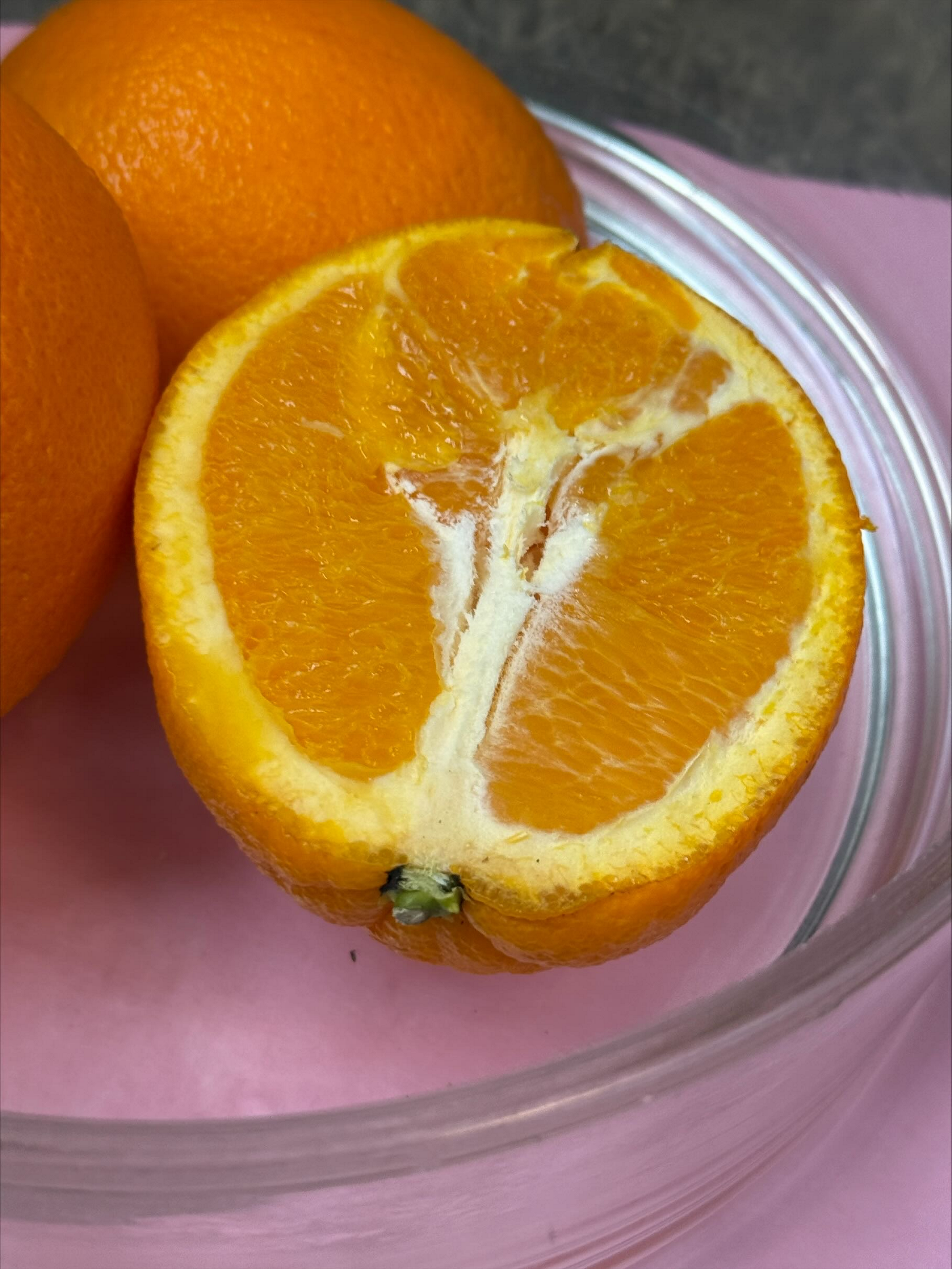 <p>What is this, and what are the fruit characteristics? <br>1. Fleshiness<br>2. Dehiscence<br>3. Complexity<br>4. Accessory fruit<br>5. Specific fruit</p>