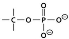 <p>"Linkages" (types of covalent bonds) in biochemical compounds</p>