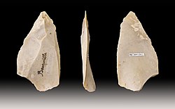 <p><span>Sharp stone tools made from flakes, used mainly as spear tips for hunting</span></p>