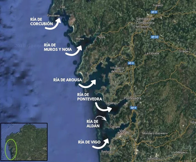 <p>a flooded or drowned v-shaped river valley</p><ul><li><p>connects to the sea</p></li><li><p>long, narrow inlet</p></li><li><p>similar to fjord but it is an unglaciated valley</p></li></ul><p></p>