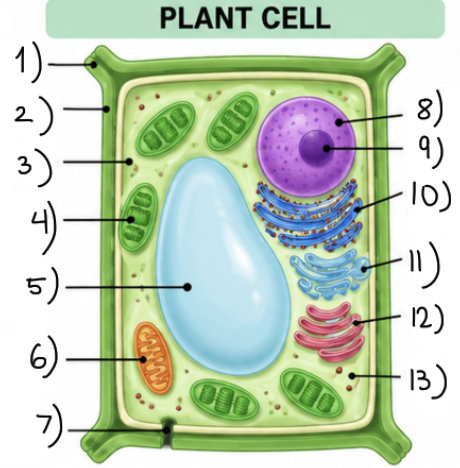 <p>what part is no. 13?</p>