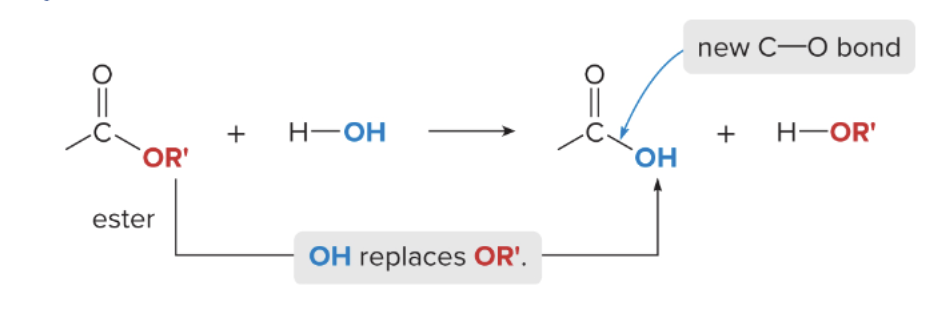 <p>ester hydrolysis</p>