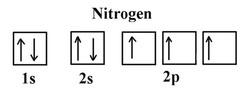 <p>states the single electrons with the same spin must occupy each equal-energy orbital before additional electrons with opposite spins can occupy the same orbitals</p>