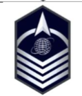 <p>E-7; 4 lower chevrons plus 1 orbital arc above globe/delta</p>