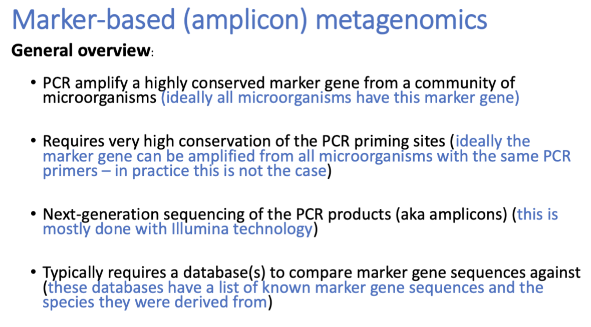 <p>Amplicon-based “metagenomics” is useful for “What is there?” questions; and for “How does the microbial community change in response to …....?” question</p><p></p><p>1) ID microorganisms that have a conserved marker gene —> PCR amplify it</p><p>^ primers don’t always catch everybody tho</p><p>2) sequence using illumina / NGS</p><p>3) compare to known database</p><p></p><p>commonly used marker genes:</p><ul><li><p>16s rRNA (bacteria / archaea)</p></li><li><p>ITS (fungi)</p></li><li><p>18s rRNA gene (euks)</p></li><li><p>COX1 (animals)</p></li><li><p>single copy highly conserved protein coding genes</p></li></ul><p></p>