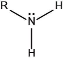 <p>what is the name of this functional group?</p>