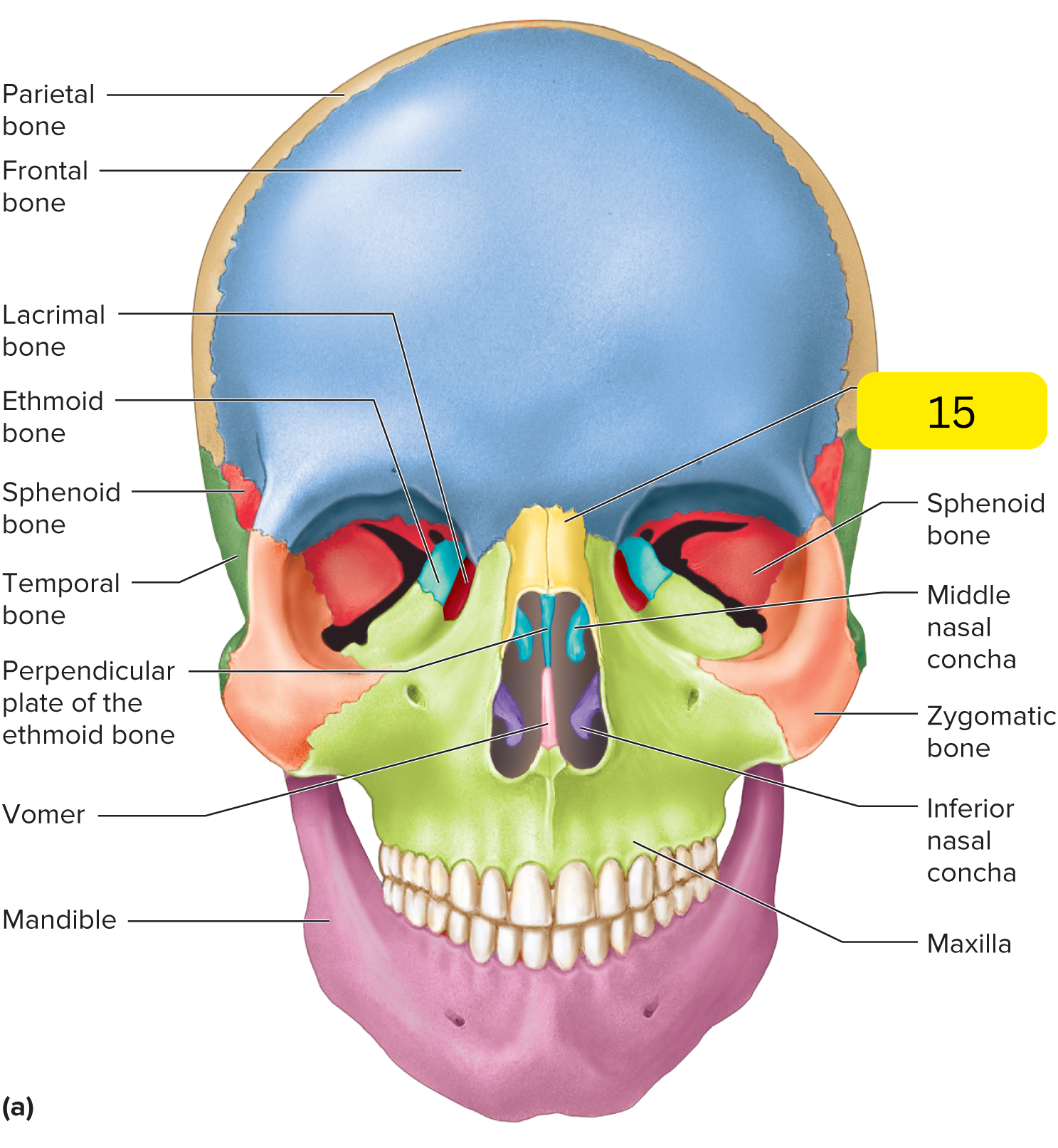 <p>What’s #15?</p>