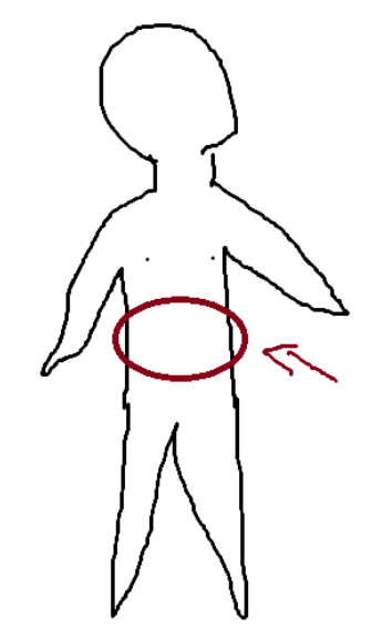 <p>Central anterior region of the Trunk</p>
