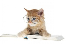<p>Quick and clever humor.</p>