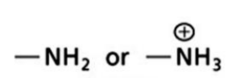 <p>FG</p>