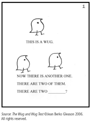<p><span> Language is a system of communication that is learned, stored, and processed in long-term memory systems<br> Language has 4 primary components and a set of linguistic universals (features that are found across nearly languages)</span></p>