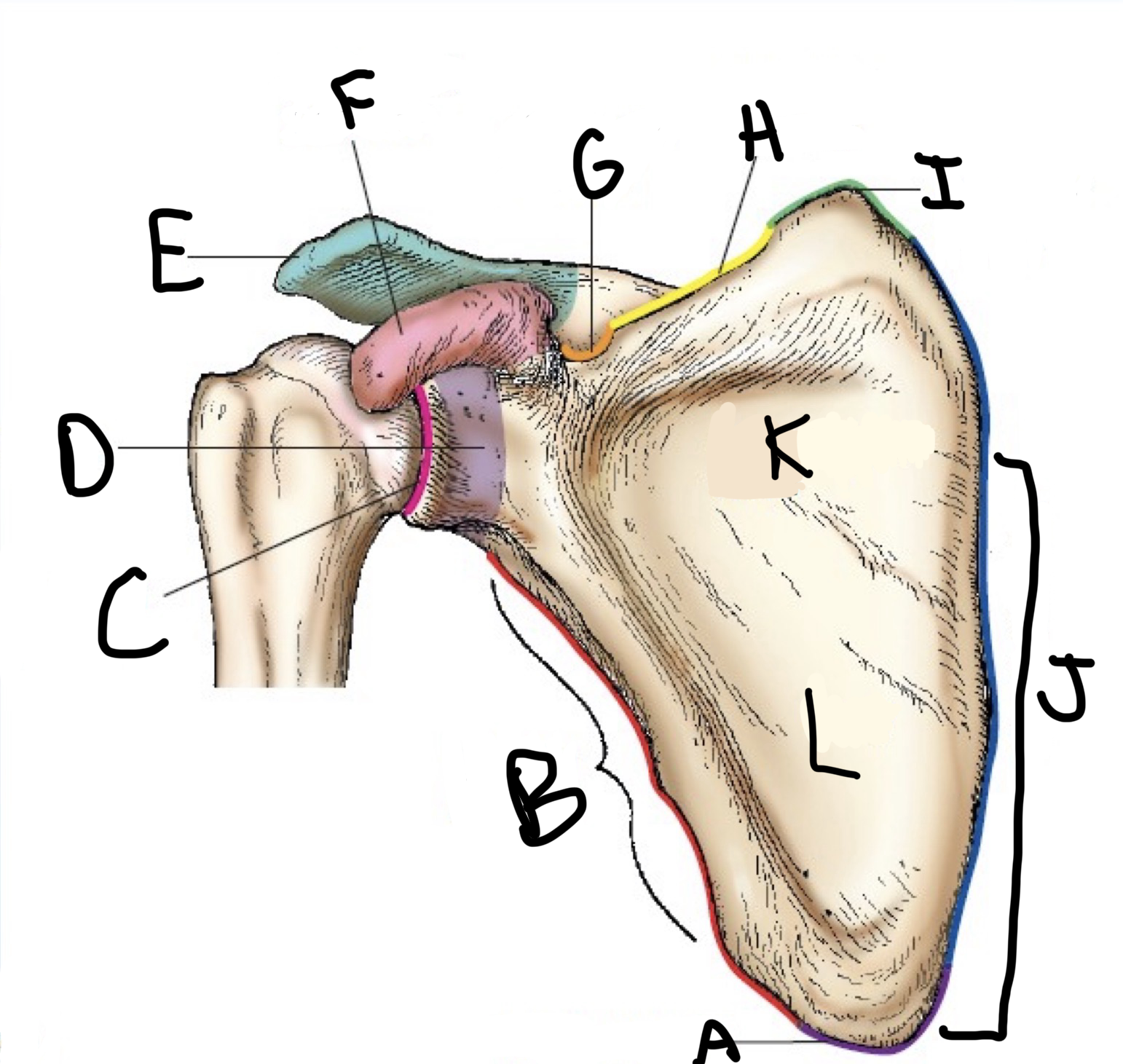 <p>d?</p>